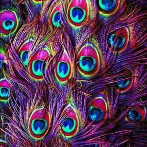 Meet your Posher, Mermaid